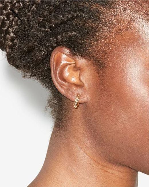 Isabel Marant Metallic Stunning Earrings