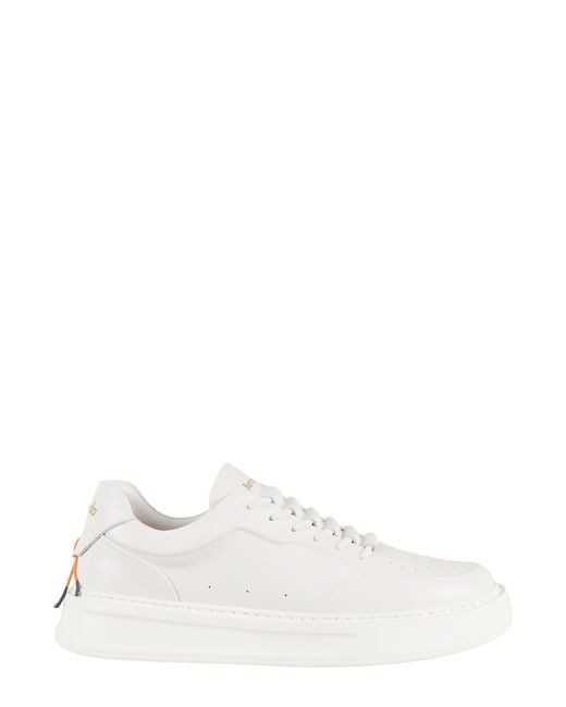 Barracuda White Phoenix Wh for men