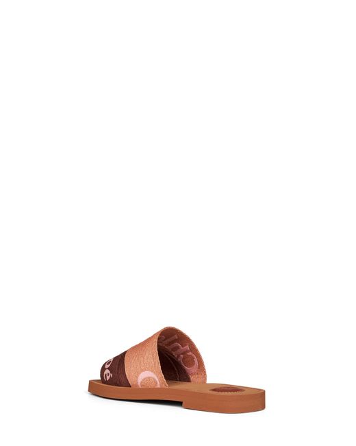 Chloé Brown Chloé Coffee And Woody Flat Sandals