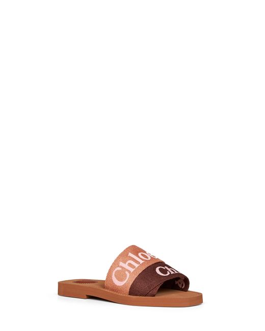Chloé Brown Chloé Coffee And Woody Flat Sandals