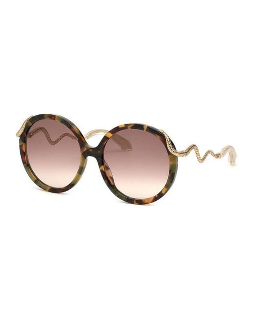 Roberto Cavalli Brown Frame And Lens Sunglasses