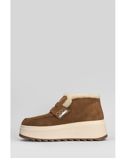 Ash Brown Magic Low Heels Ankle Boots