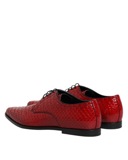 Dolce & Gabbana Red Exotic Leather Lace Up Dress Derby Shoes Python for men