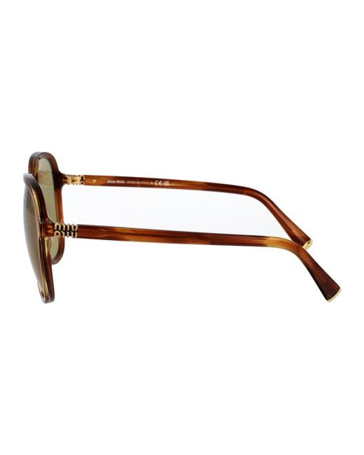 Miu Miu Brown Acetate Sunglasses