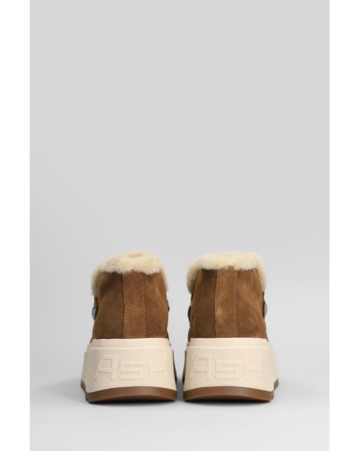 Ash Brown Magic Low Heels Ankle Boots