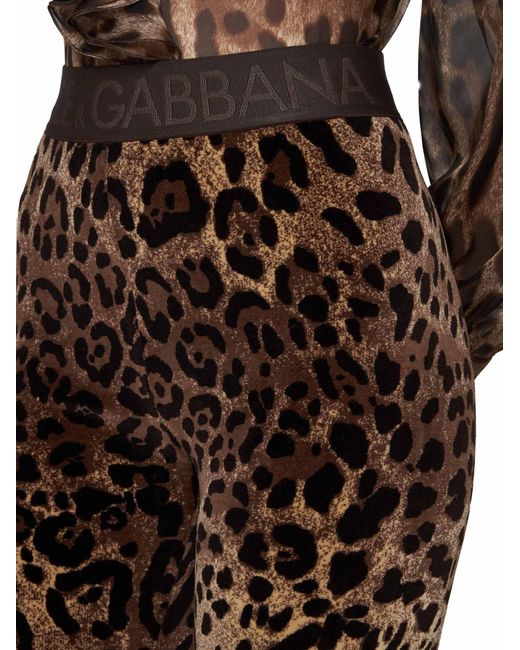 Dolce & Gabbana Brown Trousers