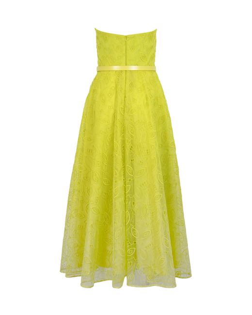 Max Mara Studio Yellow Stecca Bustier Dress In Organza