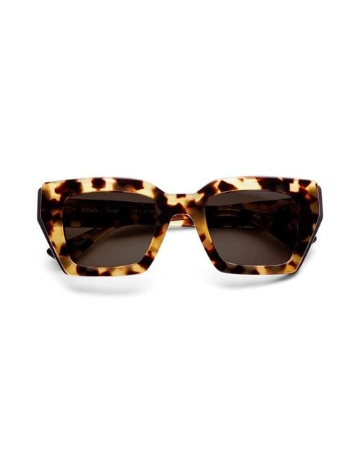 Etnia Barcelona Brown Sunglasses
