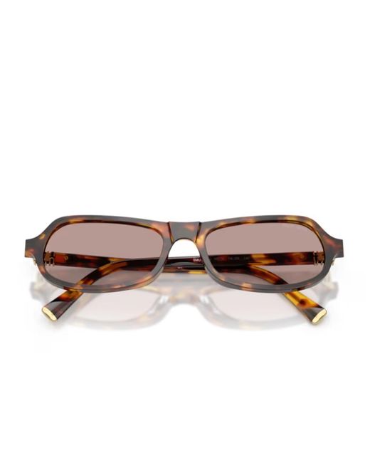 Miu Miu Brown Miu B10Su Regard Acetato Occhiali Da Sole