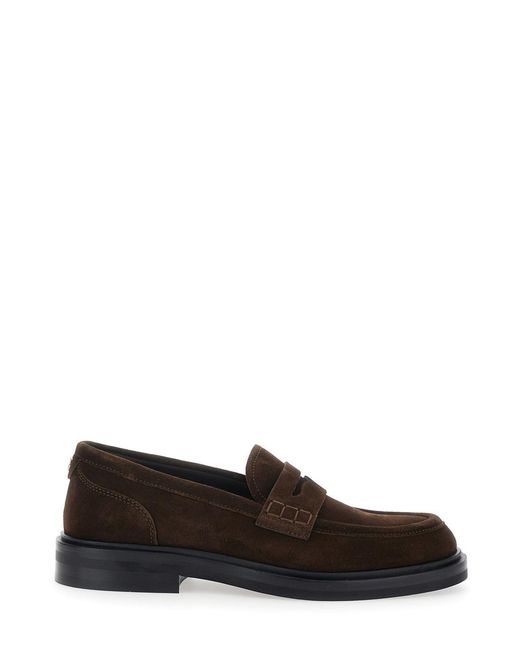 Dolce & Gabbana Brown Loafers Suede