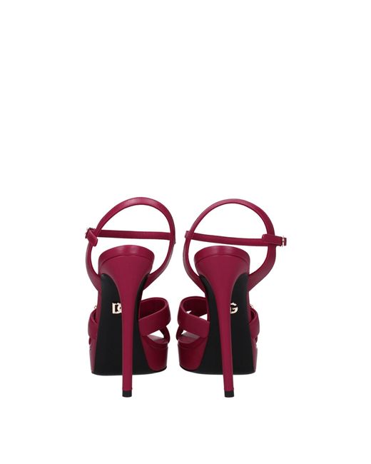 Dolce & Gabbana Purple Platform Heel Logo Sandals