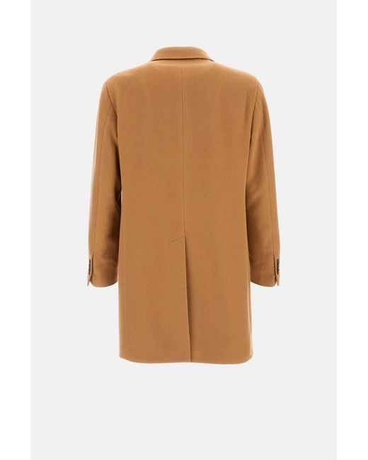 Tagliatore Brown Single- Breasted Coat for men