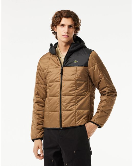 Lacoste Brown Waterproof Colour-Block Puffer Jacket for men