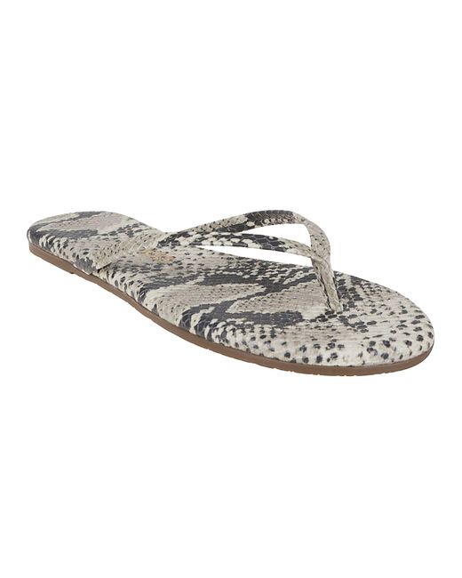TKEES Multicolor Studio Exotic