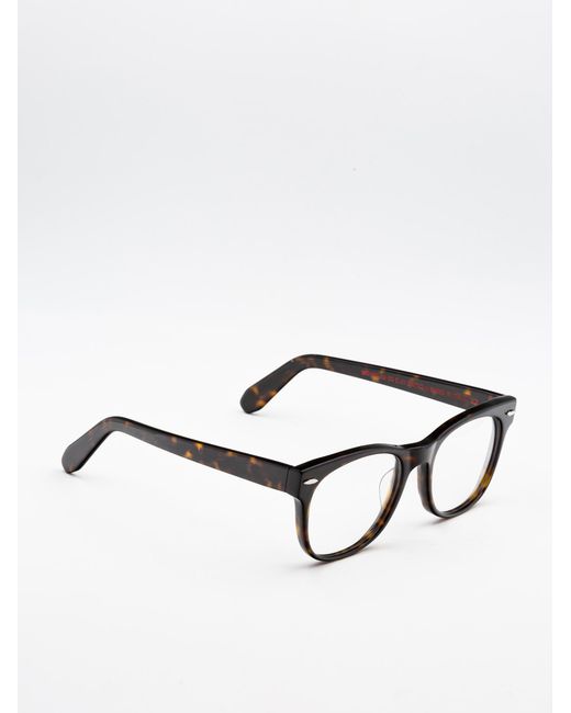 Moli Limo Brown 18A042U0A Acetate