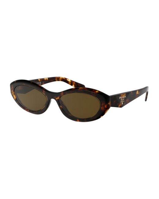Prada Brown Sunglasses 0Pr 26Zs Acetate