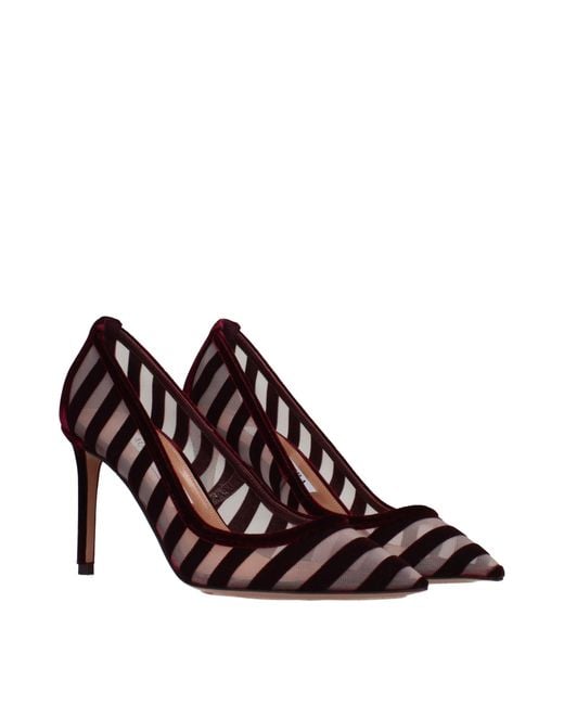 Aquazzura Brown Transparent Velvet/Merlot Décolleté