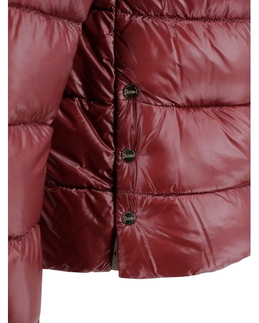 Herno Red Shiny Short Down Jacket