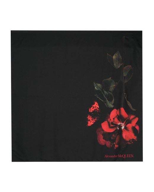 Alexander McQueen Black Silk Scarf With Rose Print