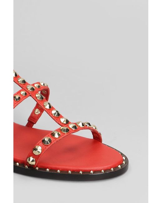 Ash Red Precious Flats