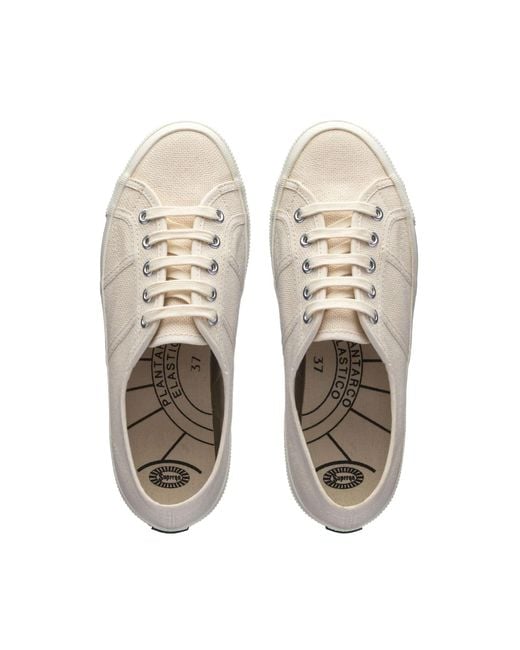 Superga Natural 1925