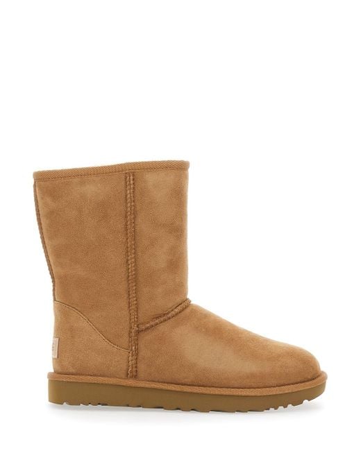 Ugg Brown W Classic Short Ii