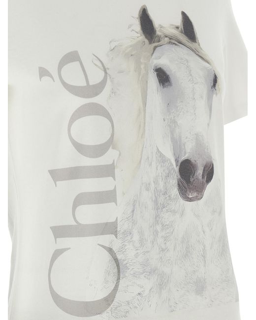 Chloé White Cotton T-Shirt