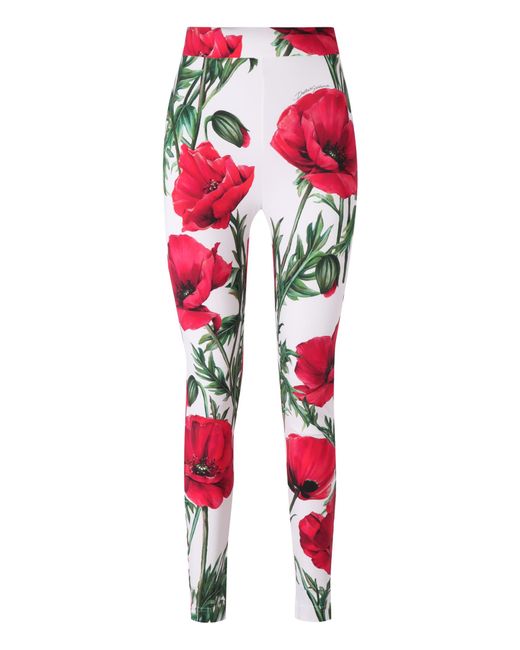 Dolce And Gabbana Flower Print Leggings In Red Lyst