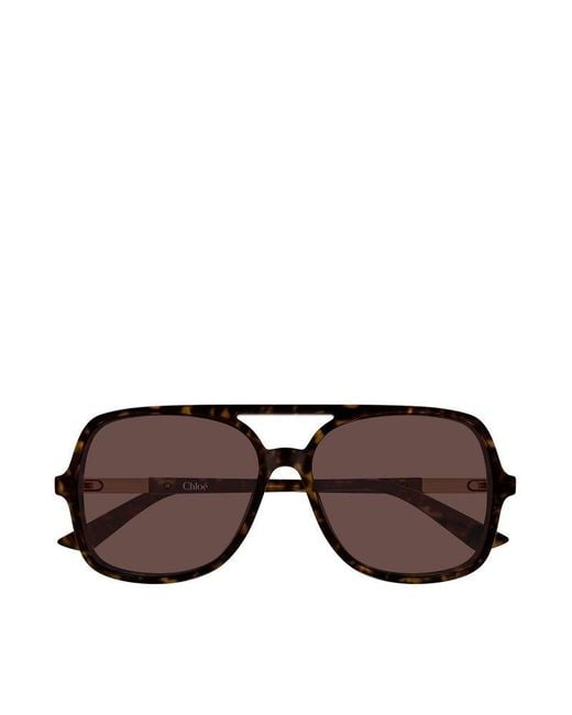 Chloé Brown Chloe Sunglasses Havana- Recycled Acetate Eyewear