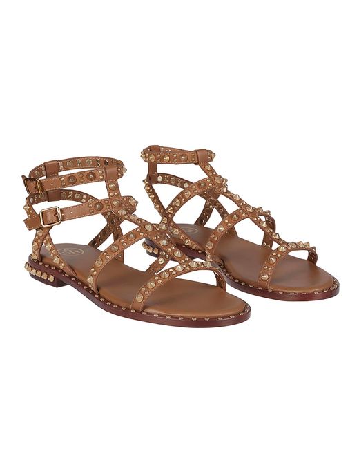 Ash Brown Pepsy Sandals