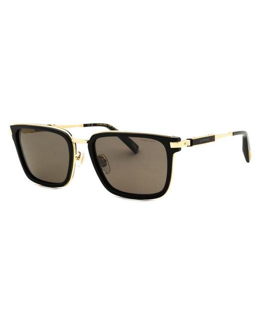 Chopard Brown Frame And Lens Sunglasses for men