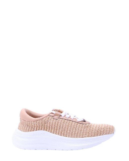 Casadei Pink Round-toe Lace-up Sneakers