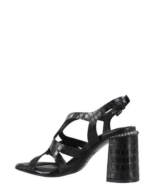 Ash Black Cocco