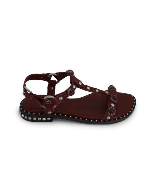 Ash Brown Flat Shoes Leather
