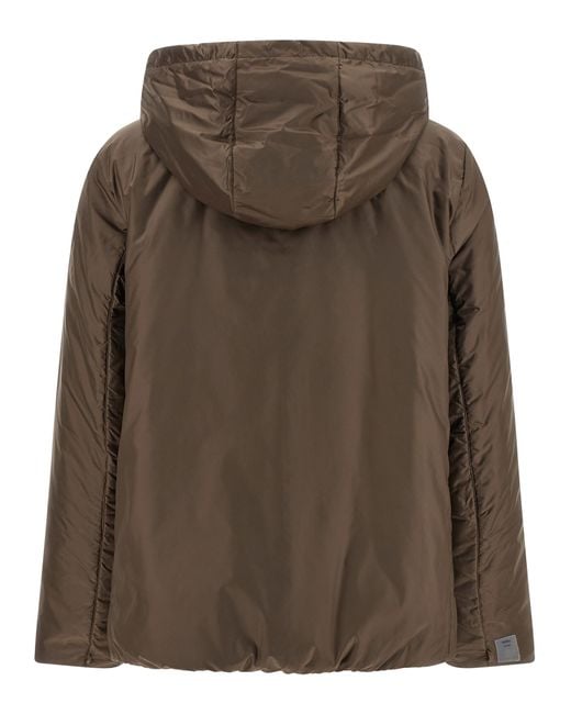Max Mara Brown Greenh Jacket