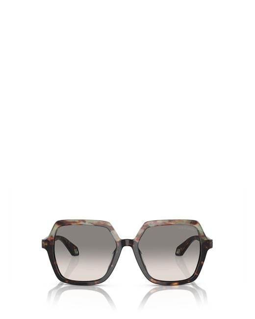 Armani havana sunglasses deals