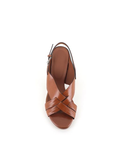 Roberto Del Carlo Brown Sandal 11921