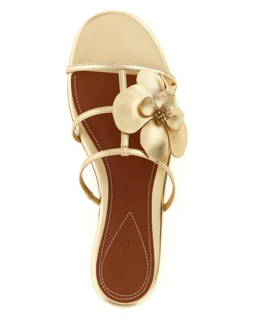 Zimmermann Metallic Orchid Sandals