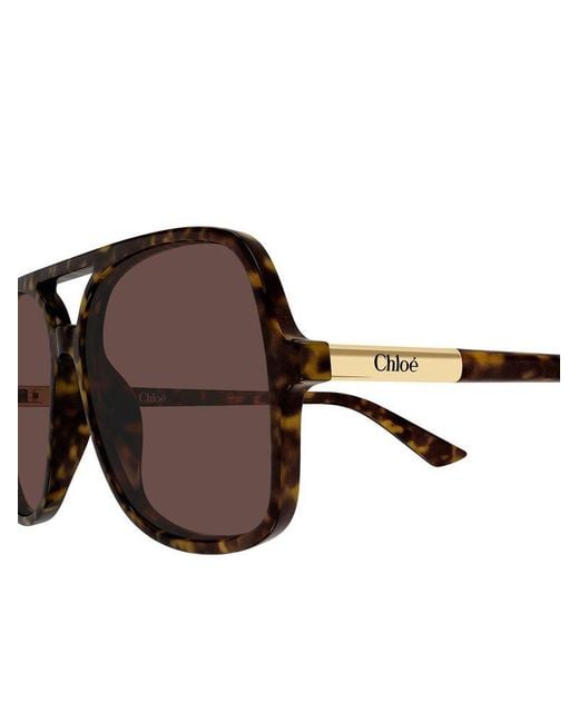 Chloé Brown Chloe Sunglasses Havana- Recycled Acetate Eyewear