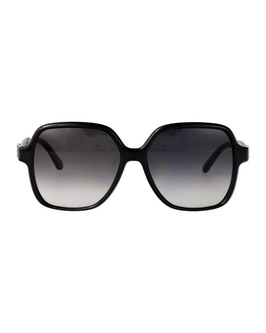 Ferragamo Black Sf2069Se 1 Injected Sunglasses