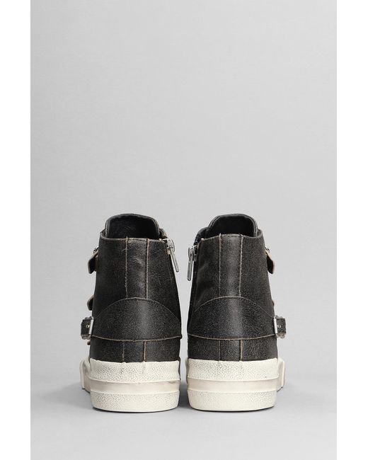 Ash Gray Gang Sneakers In Black Leather