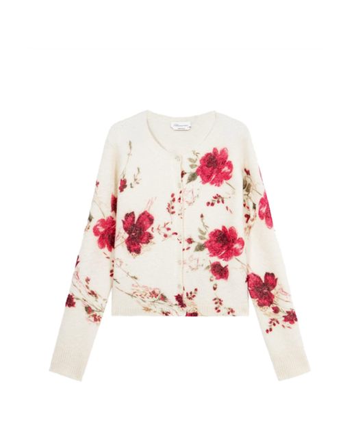 Blumarine Red Alpaca-Blend Rose Print Cardigan