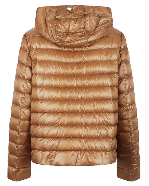 Herno Brown Padded Jacket Giacca