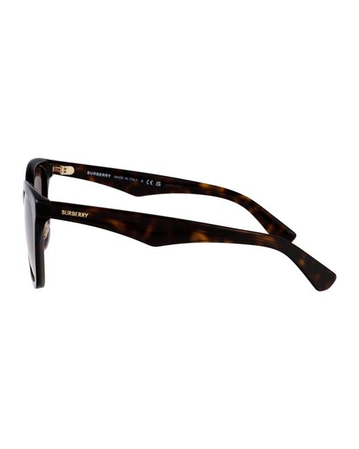 Burberry Brown Sunglasses