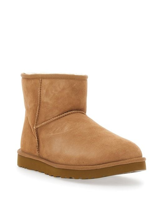 Ugg Brown Ankle Boots Classic Mini Suede for men