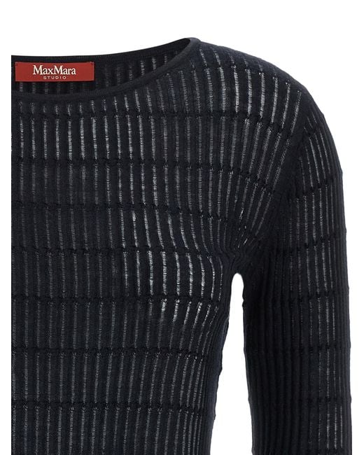 Max Mara Black Mstpedone Sweater