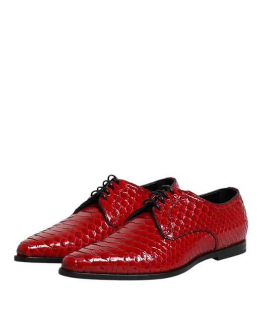 Dolce & Gabbana Red Exotic Leather Lace Up Dress Derby Shoes Python for men