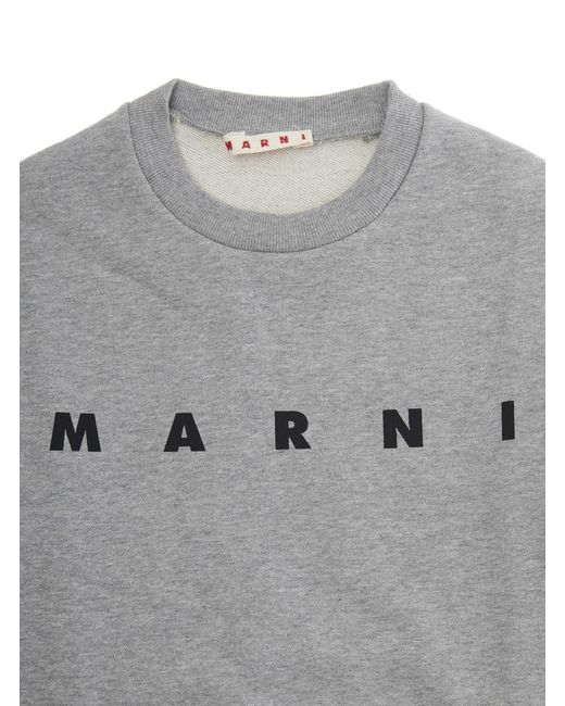 Marni Gray Kids Crewneck Sweatshirt Cotton Hoods & Sweatshirts for men