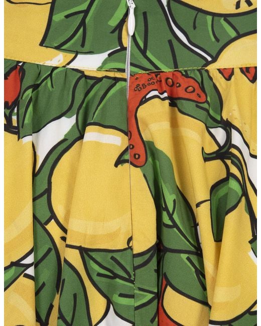 ALESSANDRO ENRIQUEZ Green Long Flared Skirt With Lemons Print