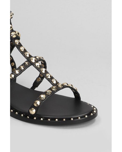 Ash Black Precious Flats